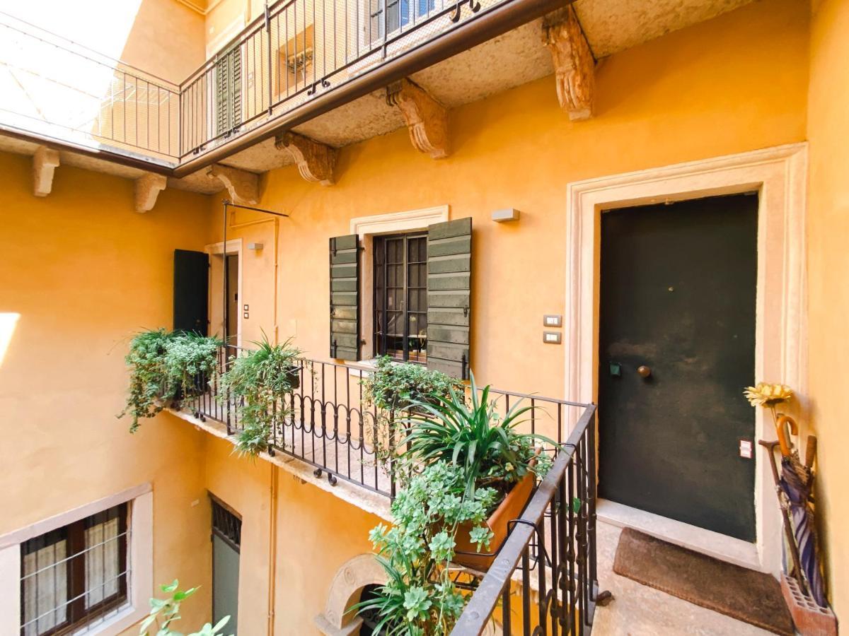 Apartment Fontanelle Terrace House